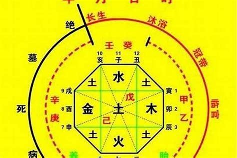 姓名 五行 查詢|生辰八字算命、五行喜用神查询（免费测算）